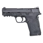 Smith & Wesson M&P380 SHIELD EZ .380 Auto 8rd 3.675,