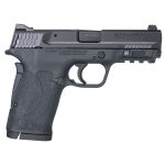 Smith & Wesson M&P380 SHIELD EZ .380 Auto 8rd 3.675