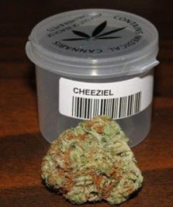 Buy Chiesel Cannabis Strain Online