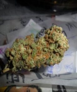 Buy Sour Diesel X (Afghani X Hawaiian) Online